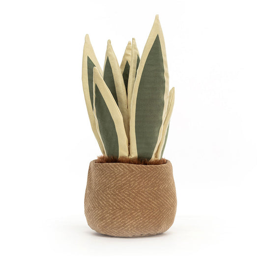 Amuseables Snake Plant