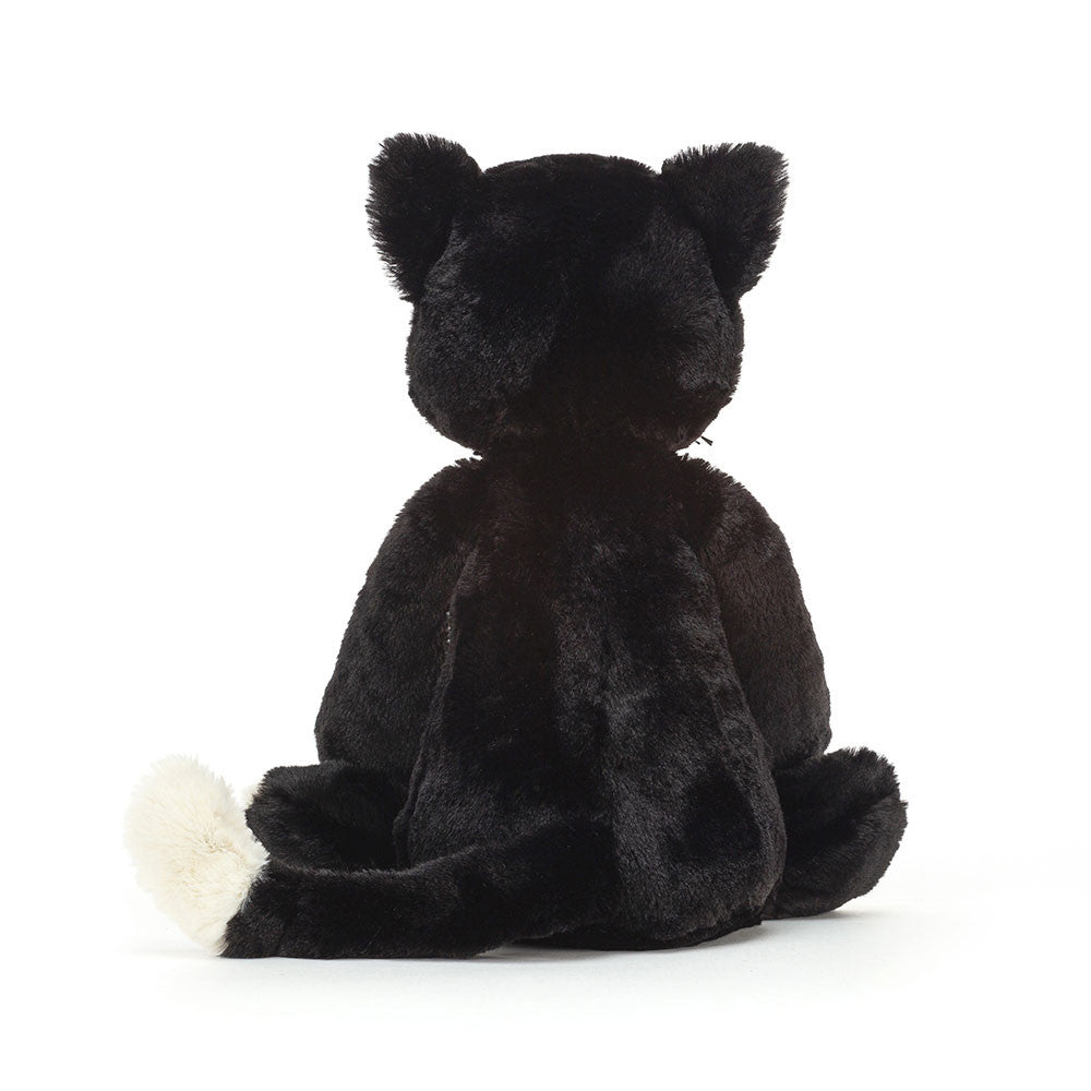 Bashful Black Kitten