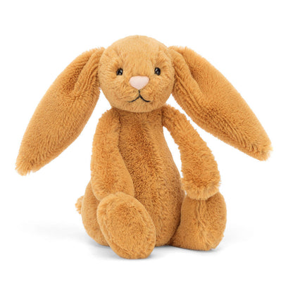 Bashful Golden Bunny