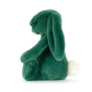 Bashful Teal Bunny