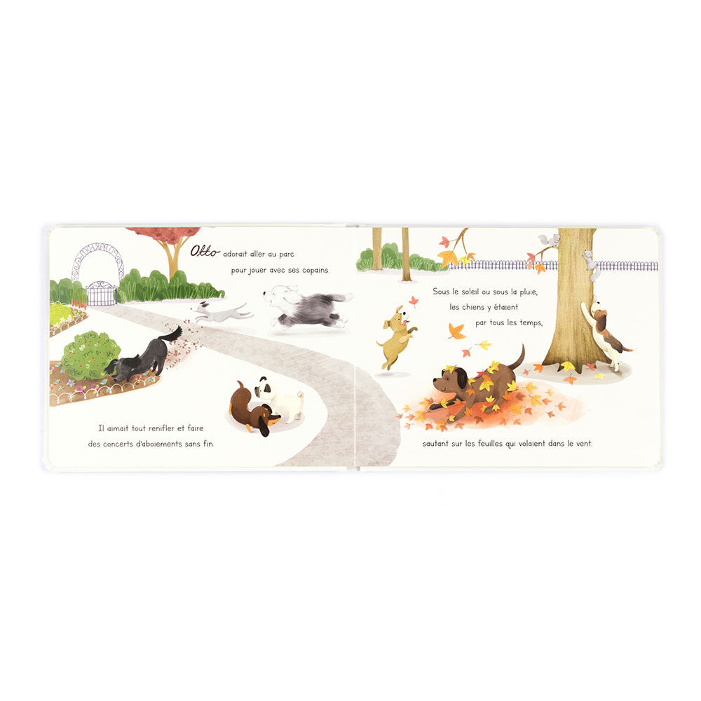 Otto Le Petit Chien Saucisse Livre