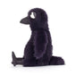 Hocus Crow