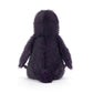 Hocus Crow