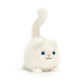 Kitten Caboodle