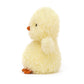 Little Chick