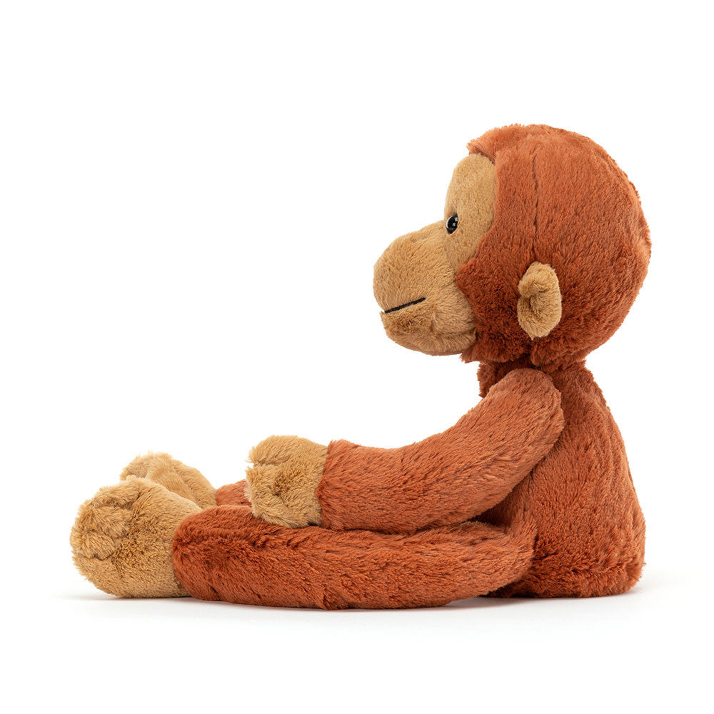 Pongo Orangutan