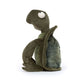 Tommy Turtle