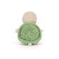 Thimble Turtle