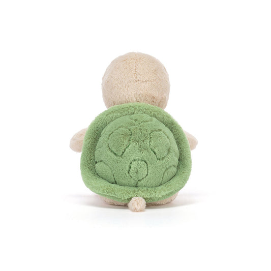 Thimble Turtle