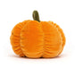 Vivacious Vegetable Pumpkin