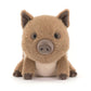 Swinley Boar