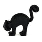 Spookipaws Cat